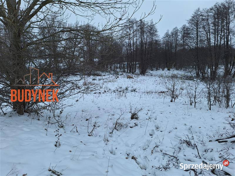 Działka rolna Przystawy Sprzedaż zachodniopomorskie