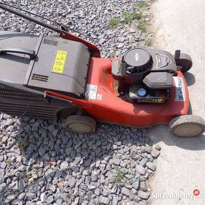 Kosiarka ogrodowa victus lubelskie Krzywda