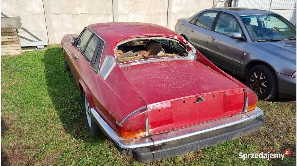 Jaguar XJS II sprzedaż syndyka Poznań sprzedam