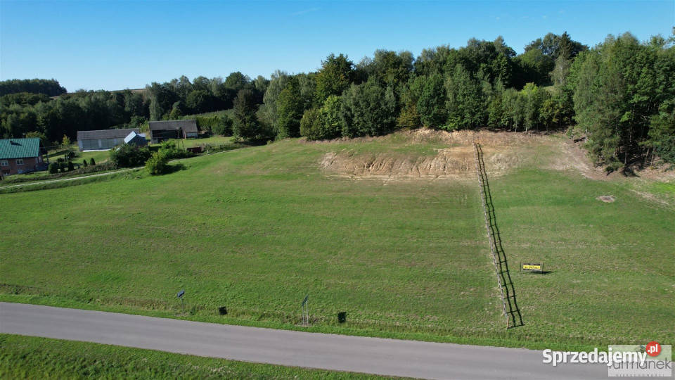 Sprzedam działka TeodorówkaKolonia 2636m2 Teodorówka-Kolonia