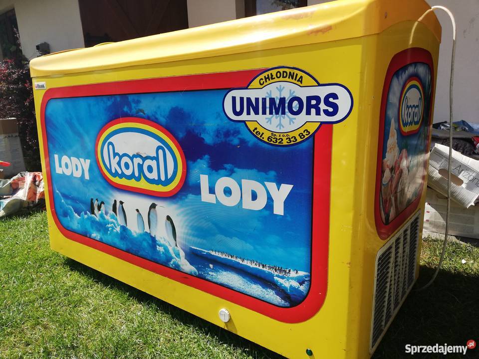 Sprzedam Lodówkę sklepową na lody