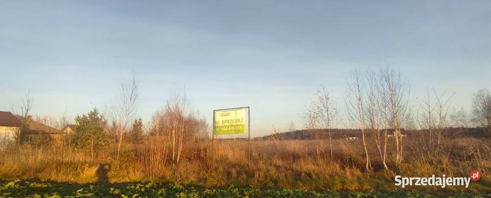 Sprzedam działki w Czołowie 2850m2 wielkopolskie Czołowo