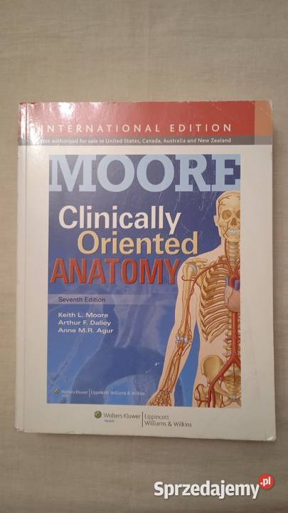 Clinically Oriented Anatomy Keith Moore miękka Warszawa