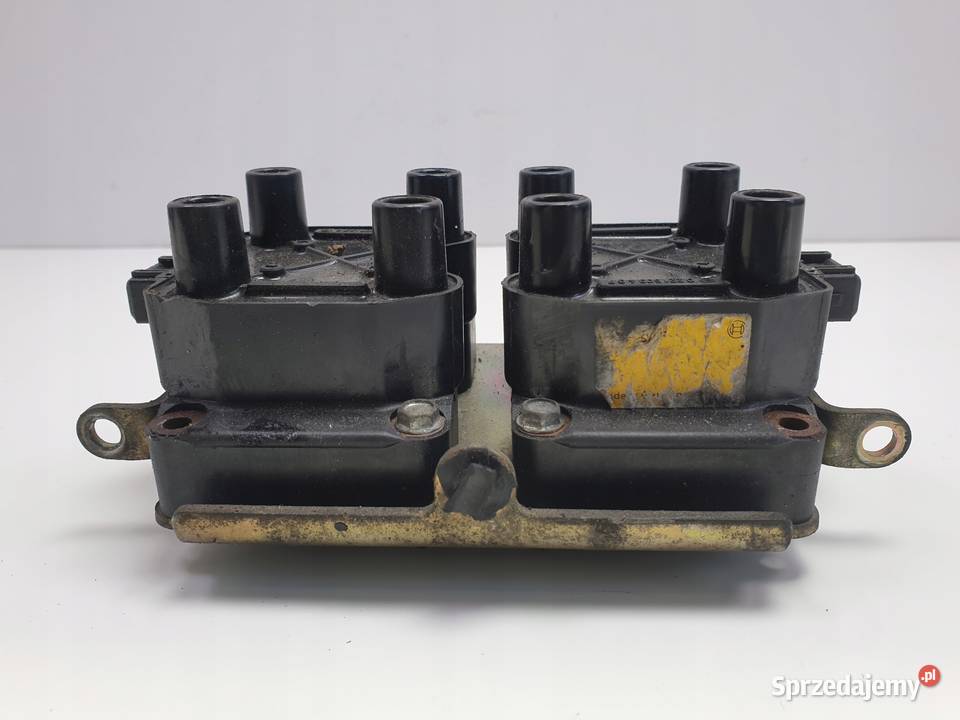 Range Rover P38 46 V8 0221503407 Pozostałe Rudka