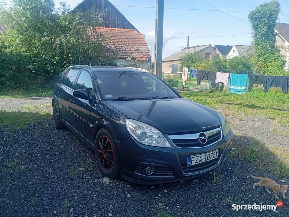 Opel Signum 19 CDTI 150 Nysa