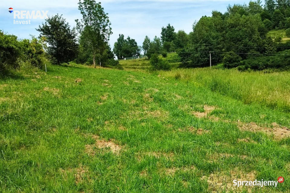Mutne działka z bajecznym widokiem 8 arów sprzedam
