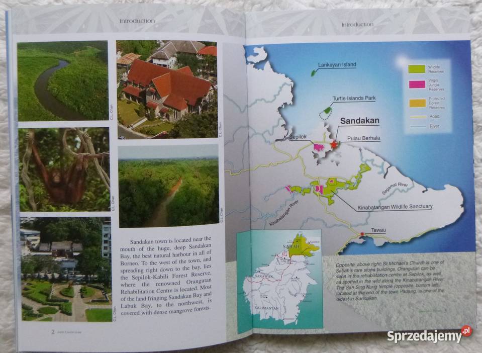 Przewodnik Sandakan Wendy Hutton angielsku Warszawa sprzedam