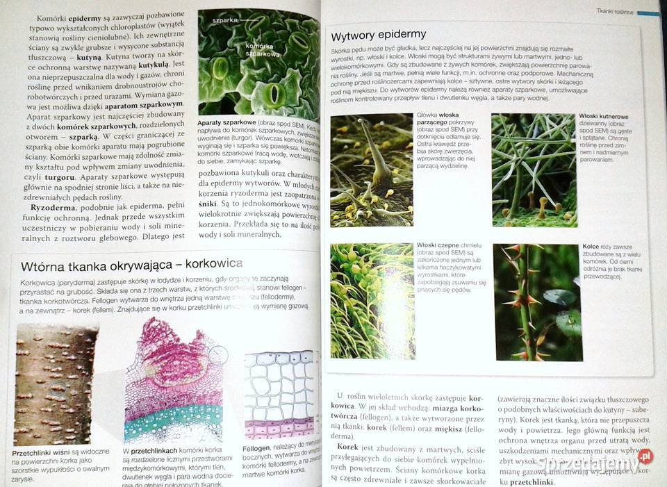 Biologia na czasie 1 Podręcznik Zakres