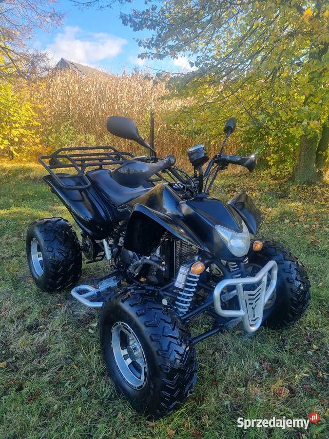 Quad EGL LYDA 250cc 41R Ciecz Duża Rama EGL Eglmotor kujawsko-pomorskie Kruszwica