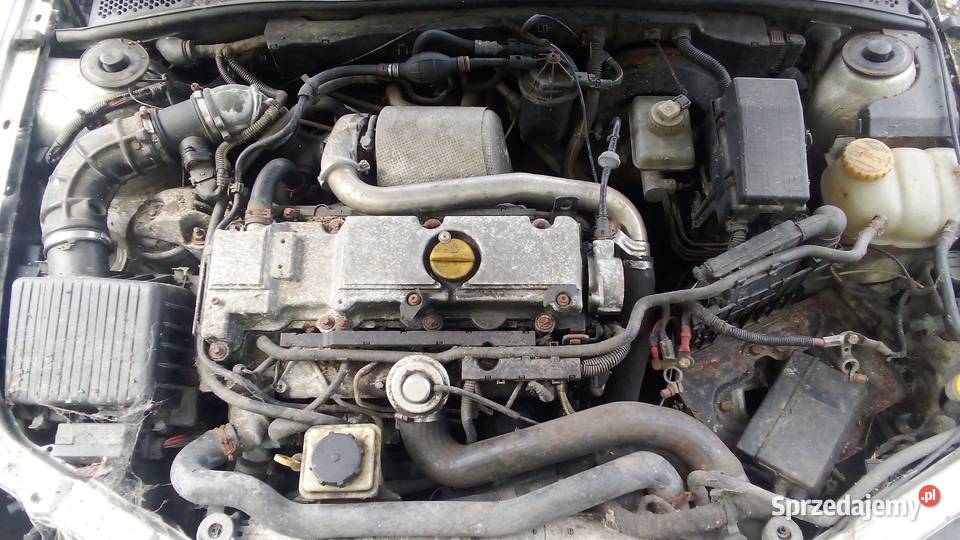 Opel Vectra mazowieckie Józefów