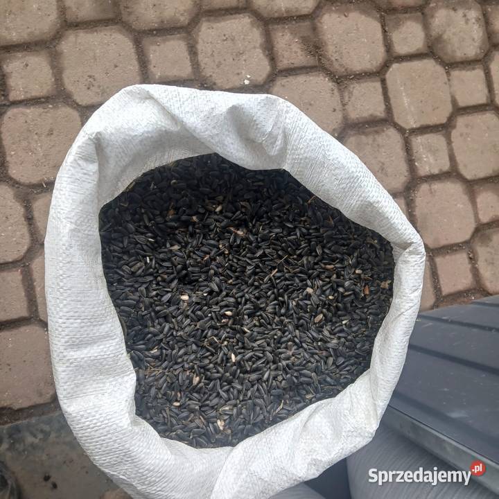 Kukurydza ziarno mielona w workach 25 Przymiłowice
