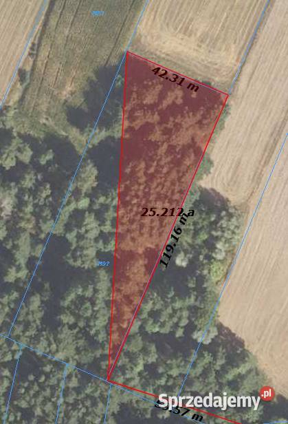Działka Leśna 5006 m2 Łaś Toczyłowo 8zł/m2