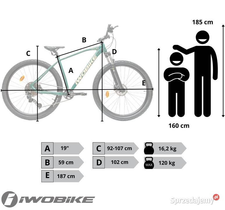 Rower Męski Górski 29 Aluminium IWOBIKE Shimano Gorlice