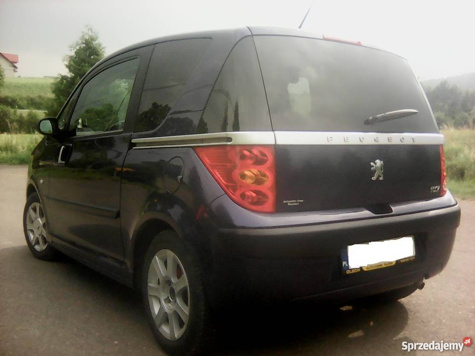 Peugeot 1007 14 BenzynaLPG centralny zamek Srogów Górny