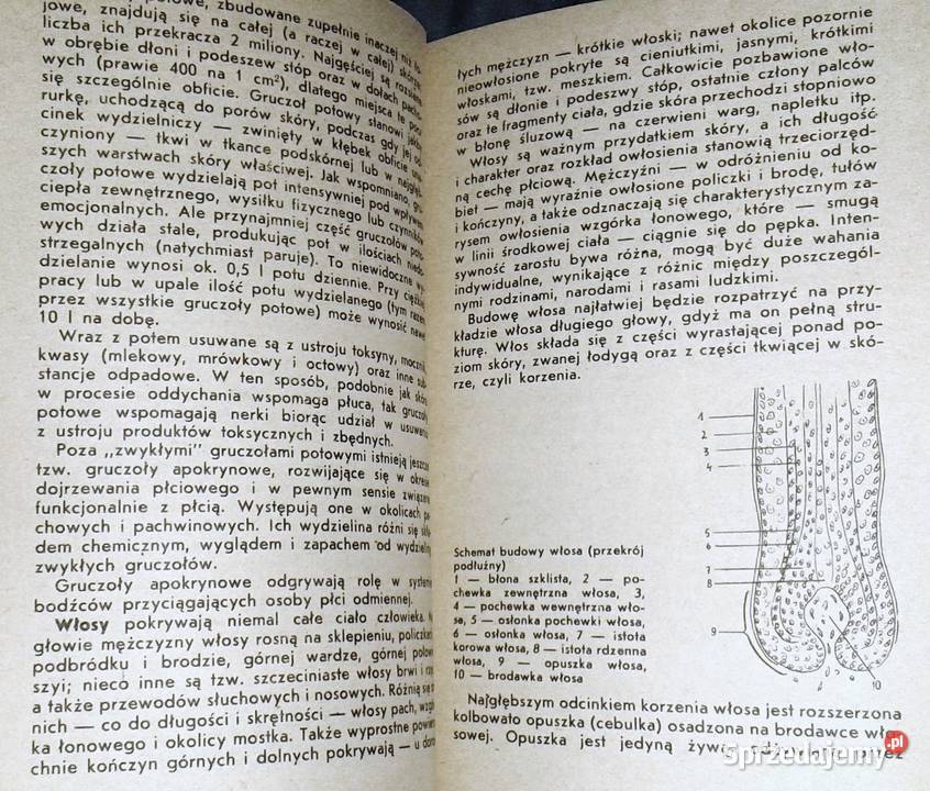 Kosmetyka pana Marian Zajfen miękka Chełm
