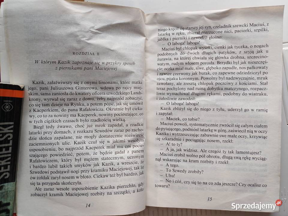 Szwedzi w Warszawie Walery Przyborowski