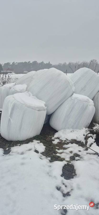 Sianokiszonka Trawy, słoma Złotniki Kujawskie