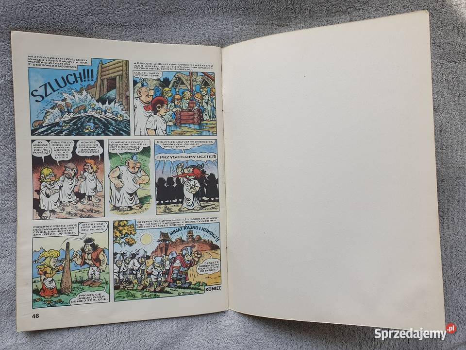 Kajko i Kokosz W krainie Borostworów wyd 2 1988 Rok wydania 1988 Gdynia