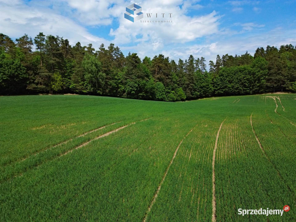 Grunt do sprzedania Rudno 53200m2 5zł/m2 warmińsko-mazurskie