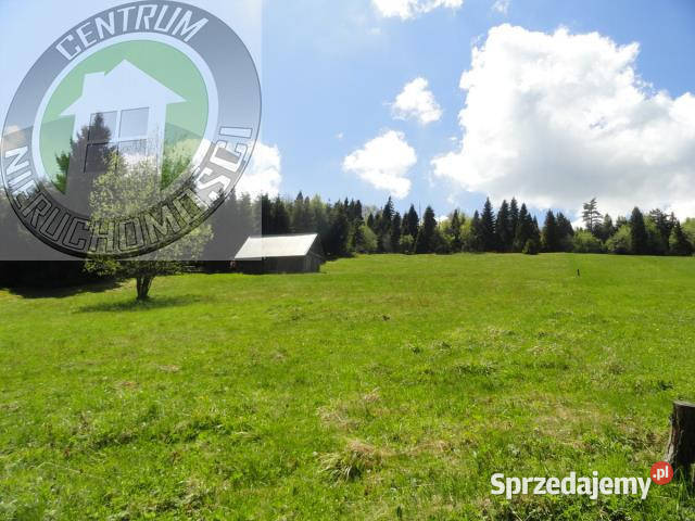Działka 8400m2 Ochotnica Dolna 174m