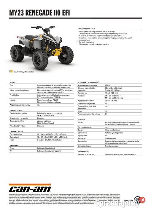 QUAD CanAm Renegade 110 EFI Catalyst grey neon Nowy Sącz