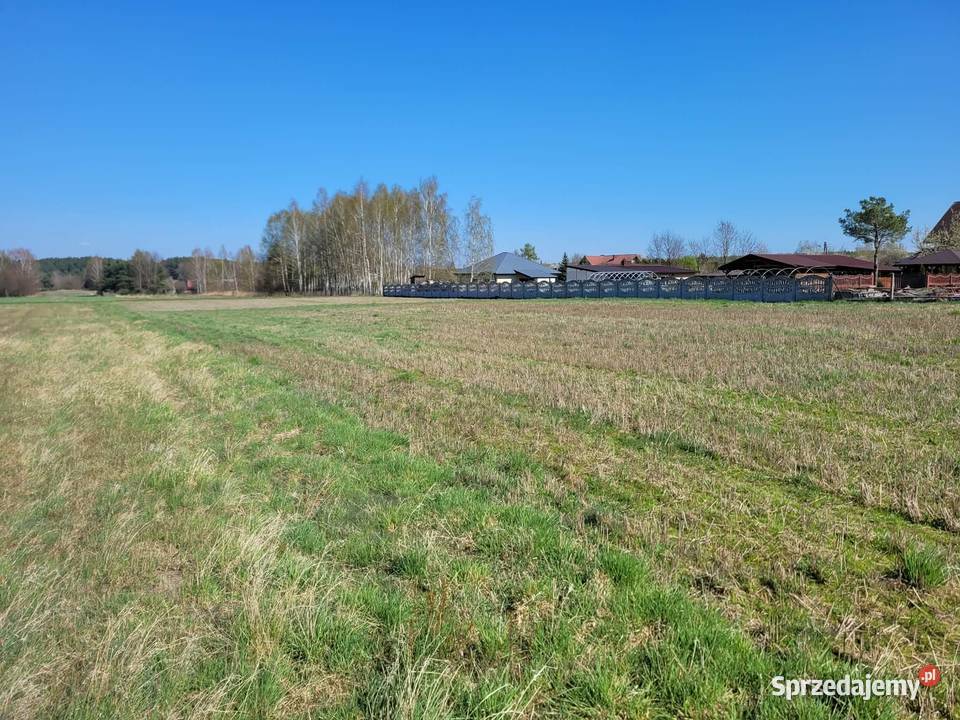 Działka z aktualnymi warunkami zabudowy budowlana łódzkie Pławno