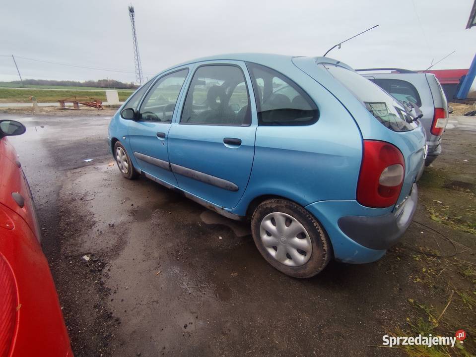 Citroen Xsara Picasso 18 benzyna Dzwola