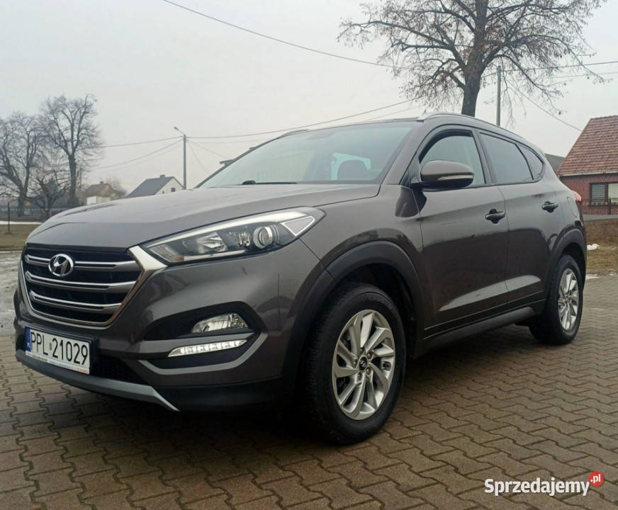 Hyundai Tucson 16l GDi 132 Navi Kamera Cofania 4/5 wielkopolskie Suchorzew