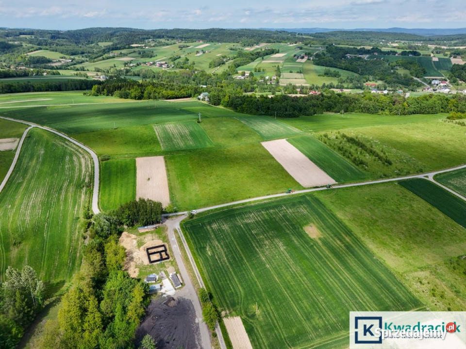 sprzedaży działki 10500m2 Czermna 16zł/m2