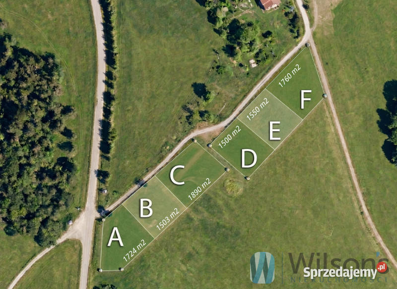 Grunt 1724m2 Osławica budowlana