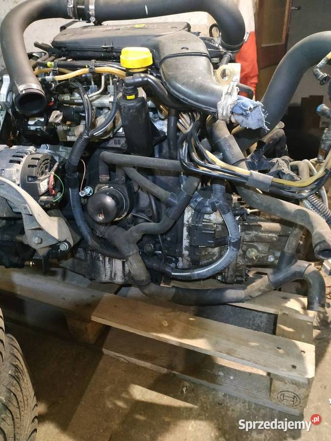 Renault Kangoo 4x4 silnik 19 dci skrzynia biegów Miechów sprzedam