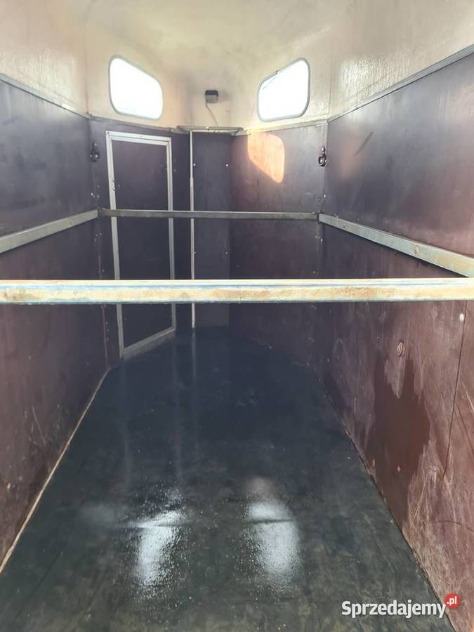 klacz przyczepa konna Zwierzęta