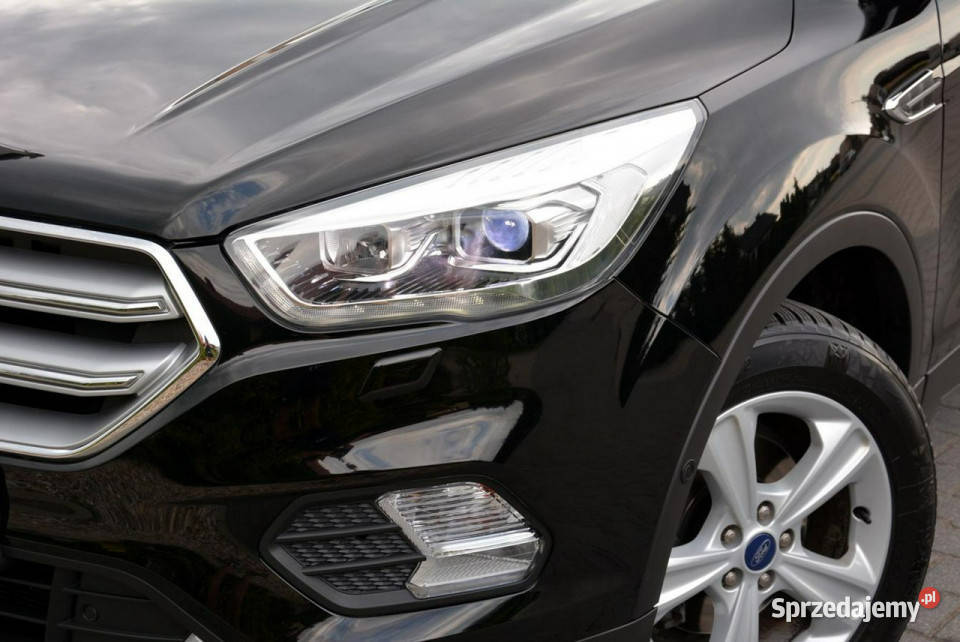 Ford Kuga Lift Navi Kamera BiXenon Led mazowieckie