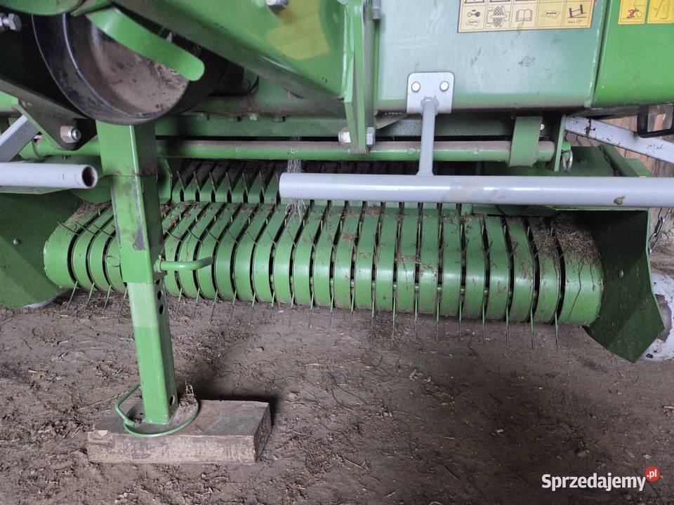 Sprzedam prase Sipma 1221 mazowieckie Ostrołęka sprzedam