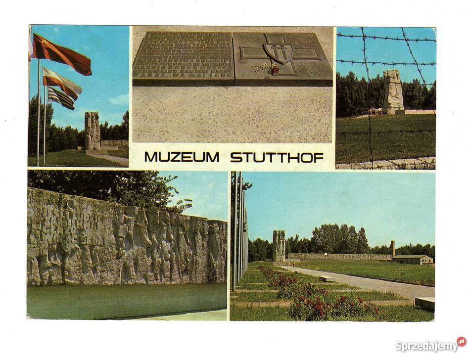 SZTUTOWO POCZTÓWKA Pocztówki i karty telefoniczne świętokrzyskie Krynki