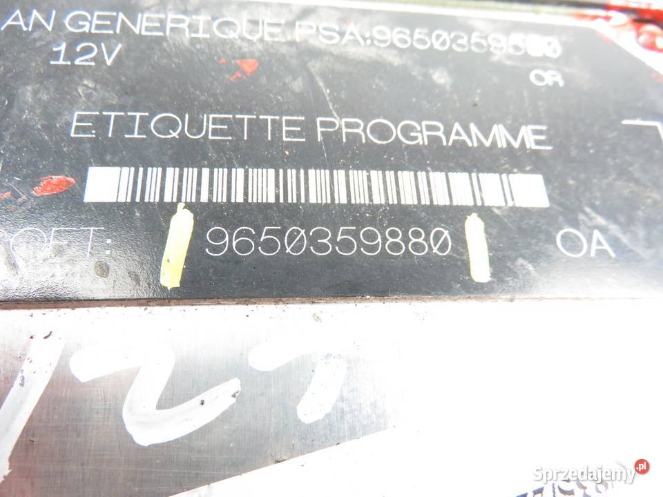 STEROWNIK PEUGEOT 206 19 D WJZ 9650359880