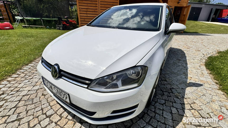 Volkswagen Golf VII 12 TSI 87 5drzwi Bały 2 kpl Strzegom