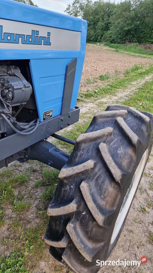 Landini 5500 nie MF 254 Łapczyca