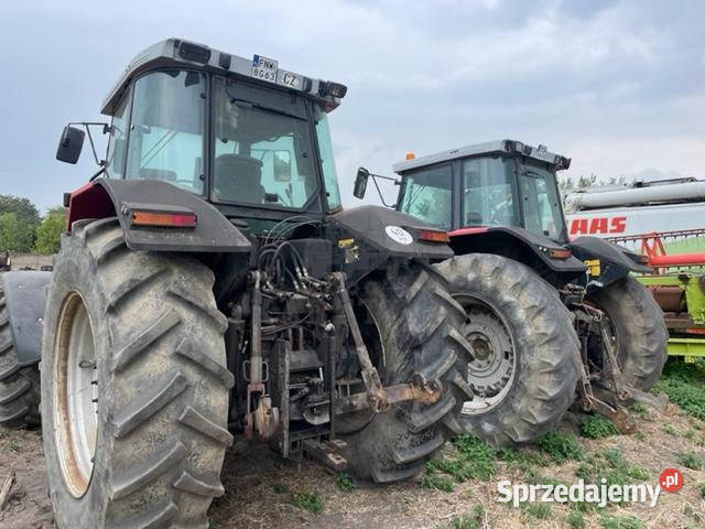 Massey Ferguson 8160 Jastrzębniki