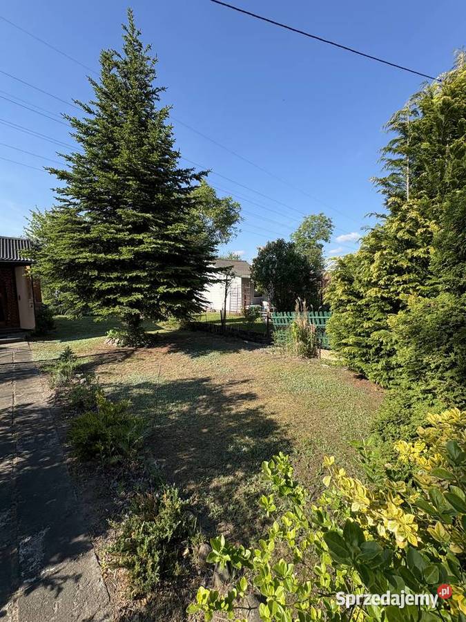 Działka ROD Ugory 250m2 Warszawa sprzedam