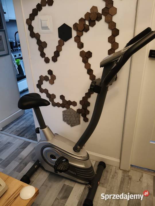 Rower stacjonarny kayoba Gdańsk