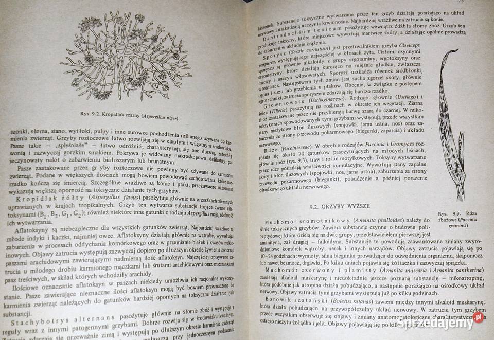 Ćwiczenia z toksykologii weterynaryjnej Zenon miękka Chełm