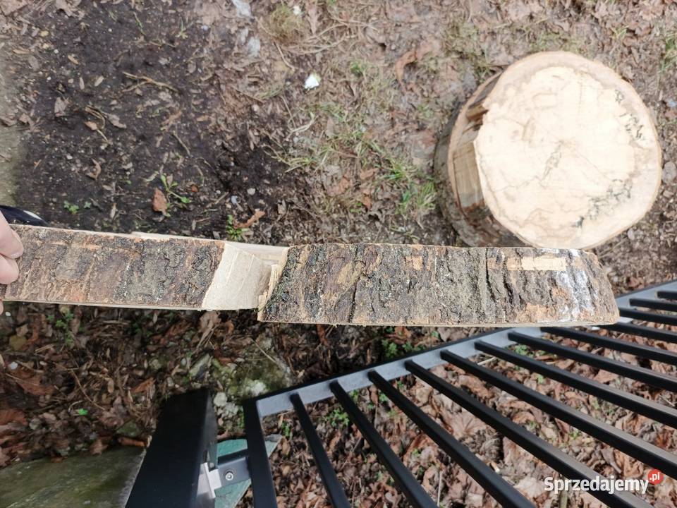 Plaster drewna Jesion 90 Bytom