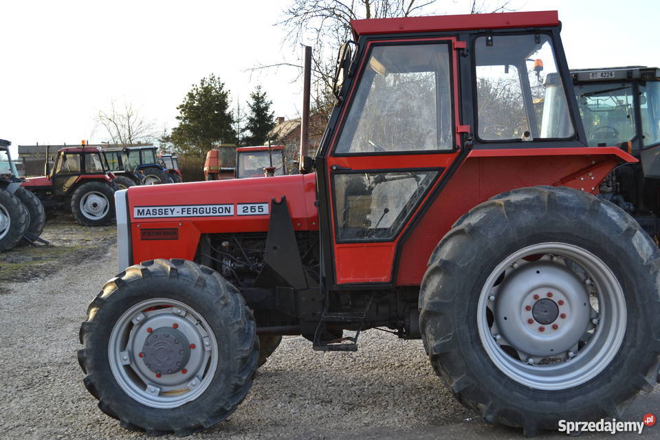 Massey Ferguson 265 ursus 3514 zetor john raty świętokrzyskie Brzeziny