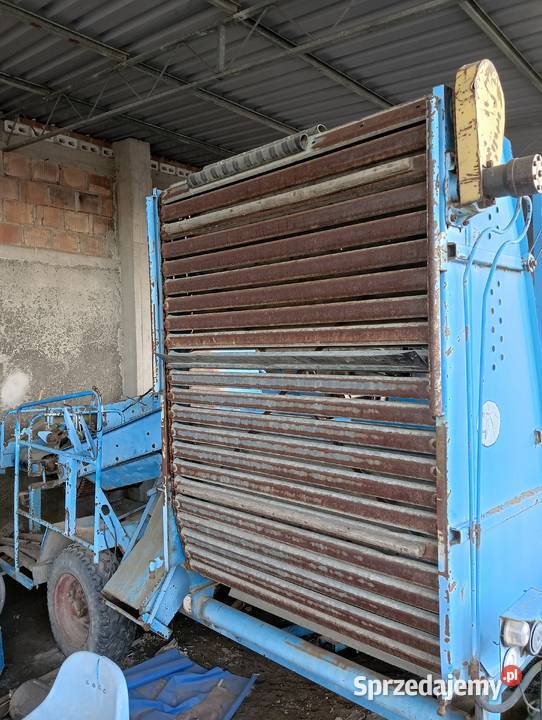 Kombajn do cebuli ziemniaków selerów Bolko Witonia