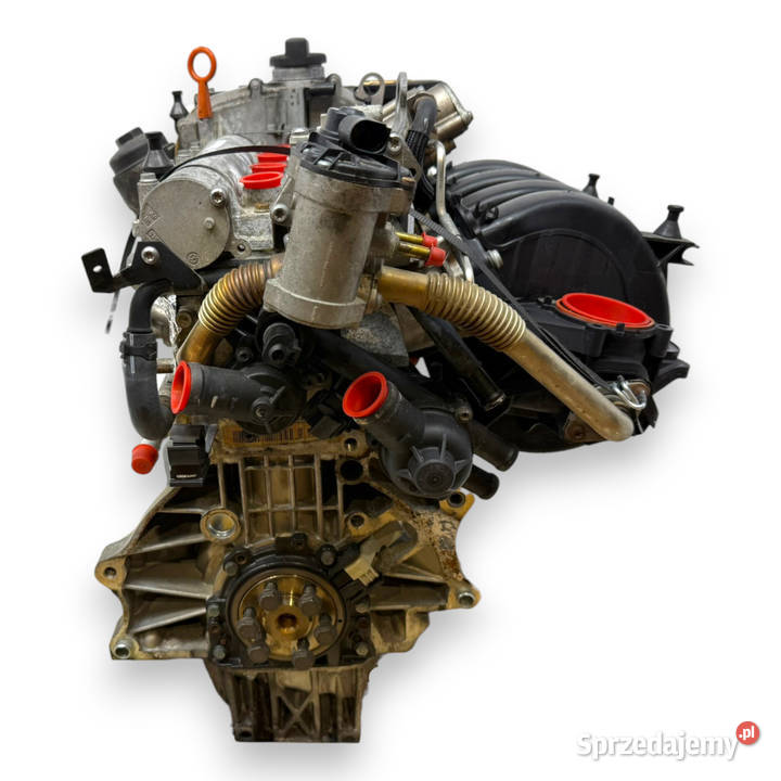 SILNIK BLF Audi A3 II 8P Skoda Octavia II 16 FSI Chełm