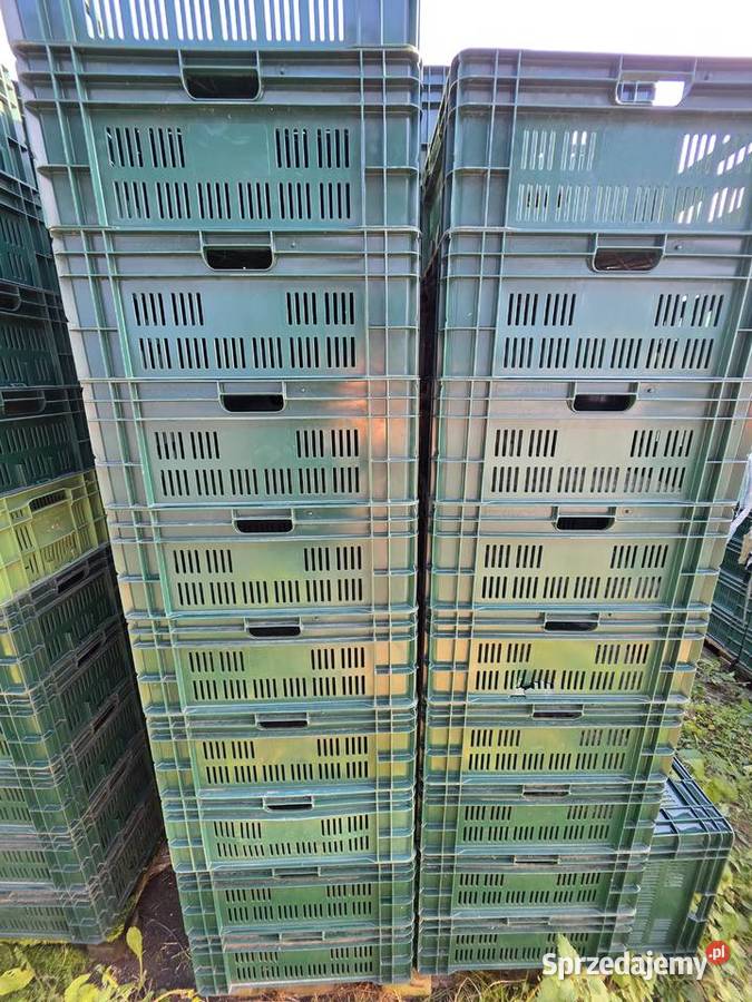 Skrzynki plastikowe mocne nowe producent Rolnictwo Żychlin sprzedam