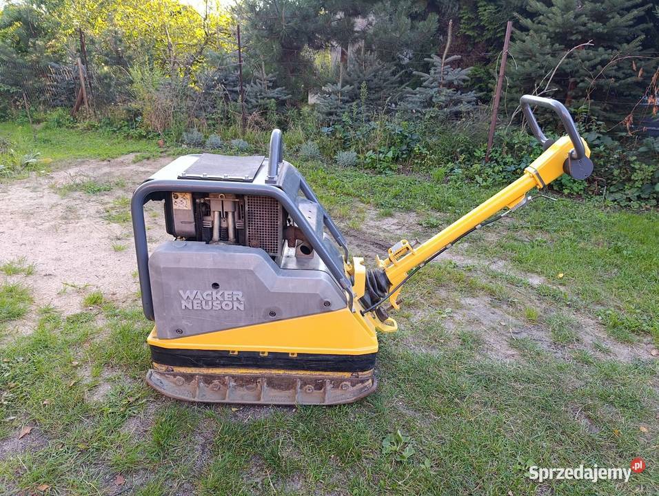 Zagęszczarka WACKER DPU 6555Hec wielkopolskie Pleszew