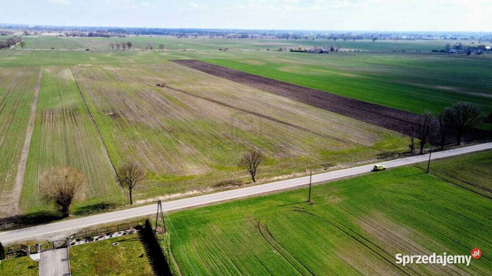 Grunt 449 ha z koncepcją 5 domów Jenin