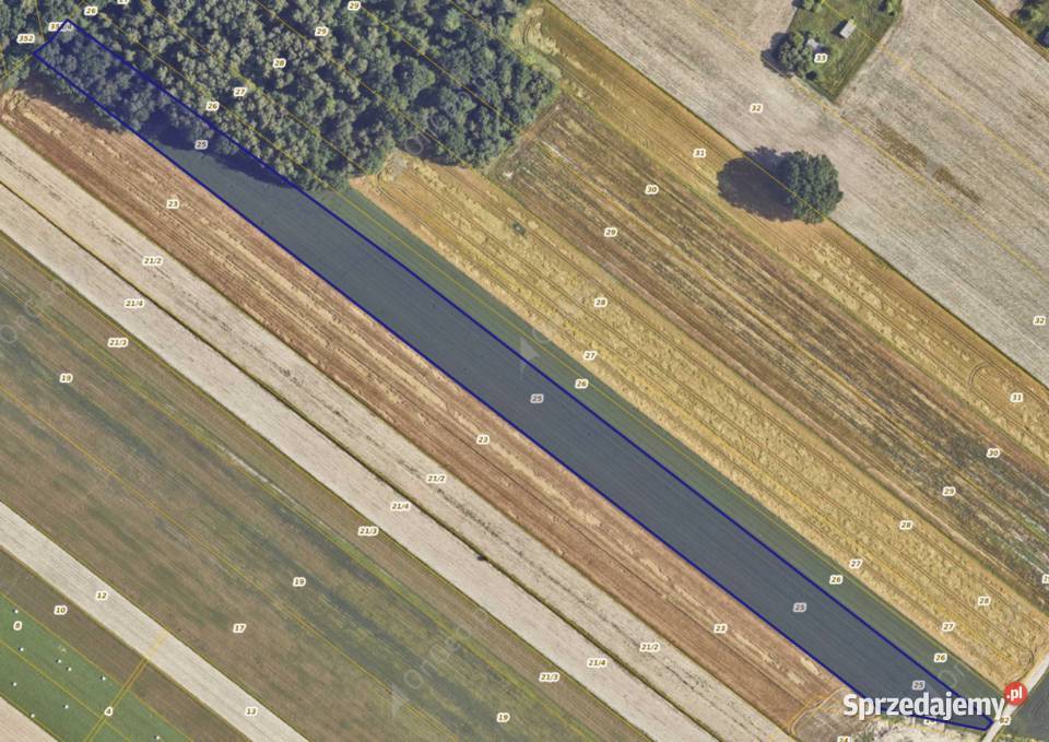 Działka rolnoleśna 280 ha ze STUDNIĄ 28000m2 lubelskie Szaniawy-Matysy